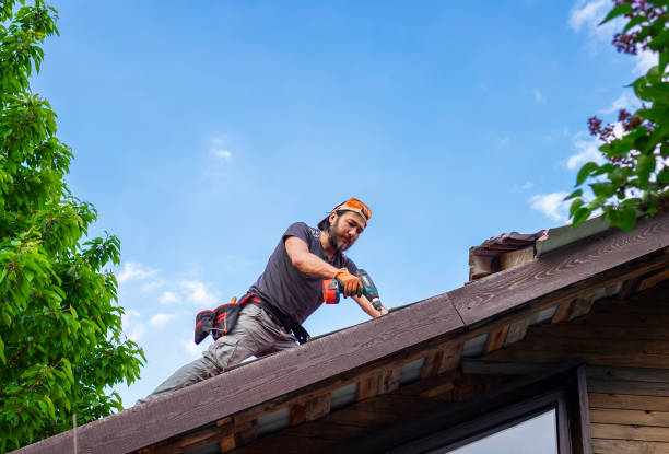 Best Roof Insulation Installation  in Lenexa, KS
